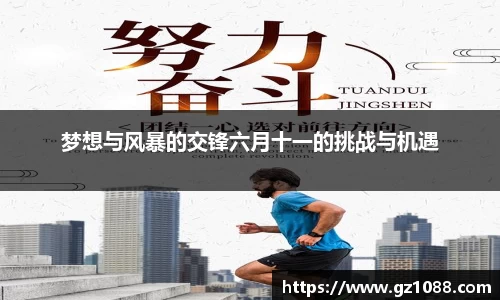 梦想与风暴的交锋六月十一的挑战与机遇